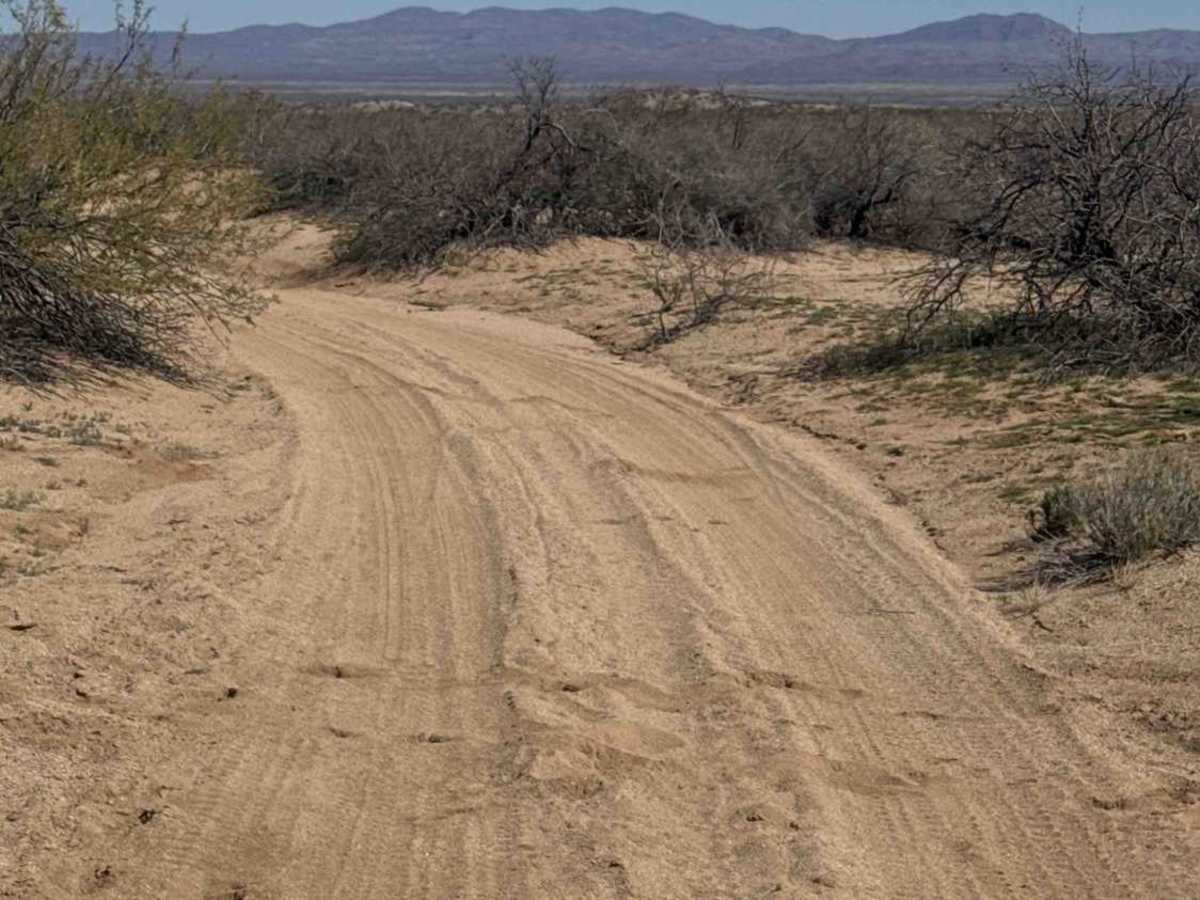 Ss1059 trail photo