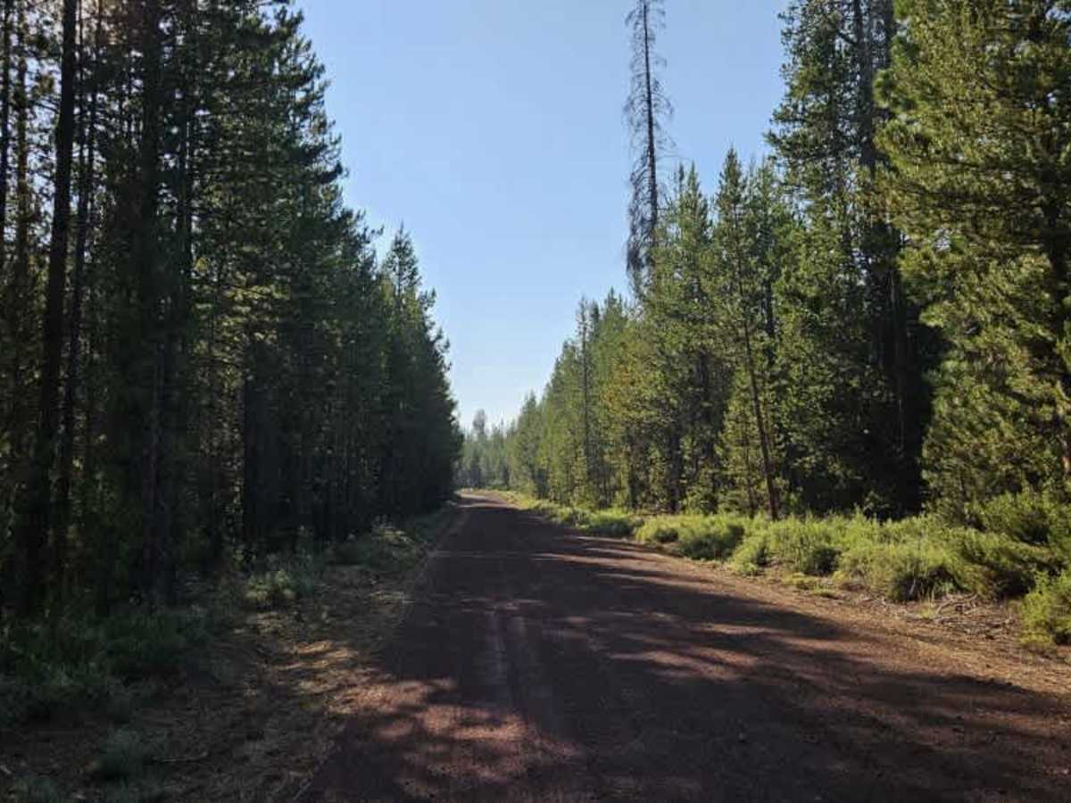 Davis Flat photo 5