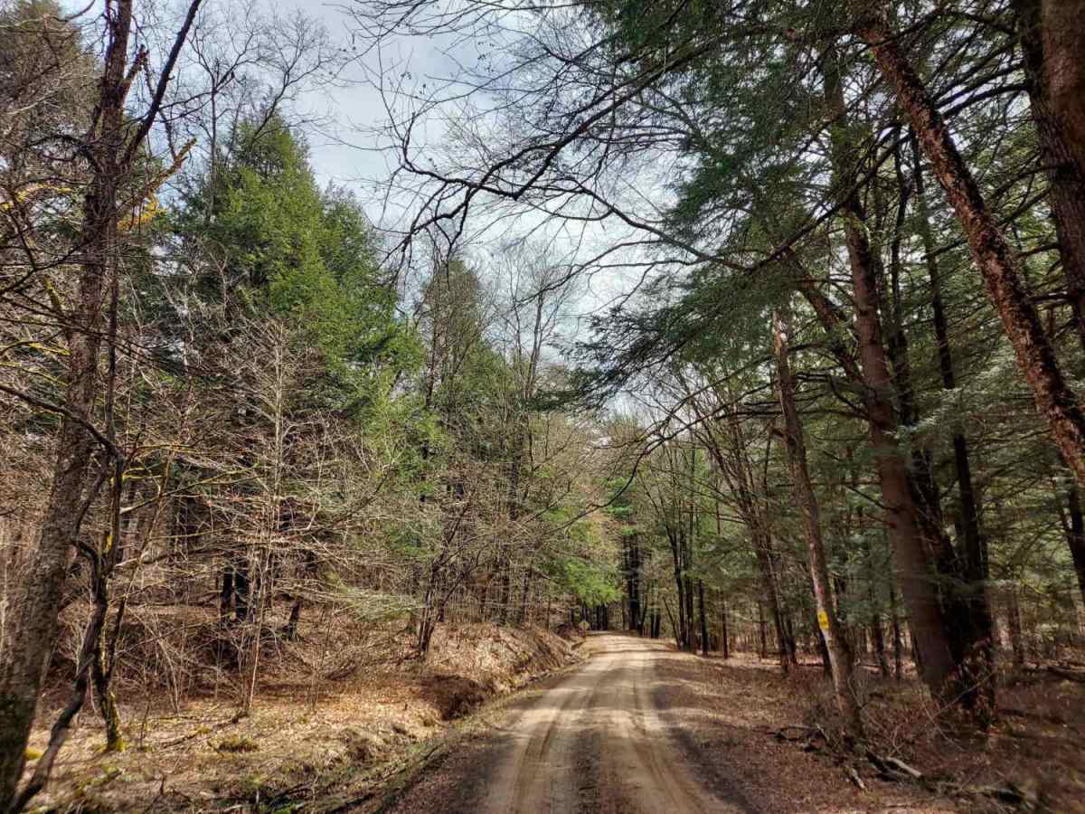 Straight Creek Road  photo 6