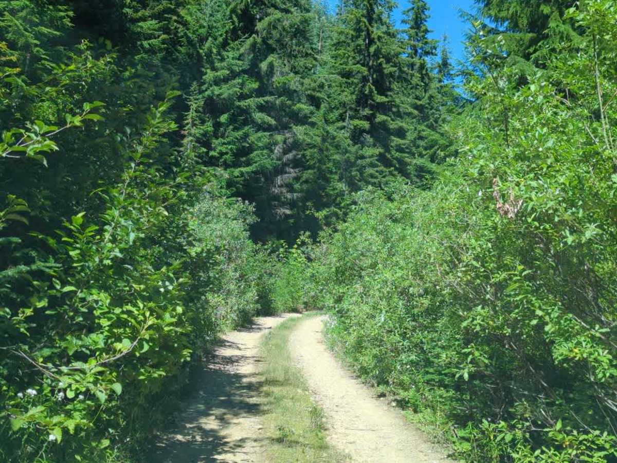 Evans Lake & Black Rock Lake photo 3