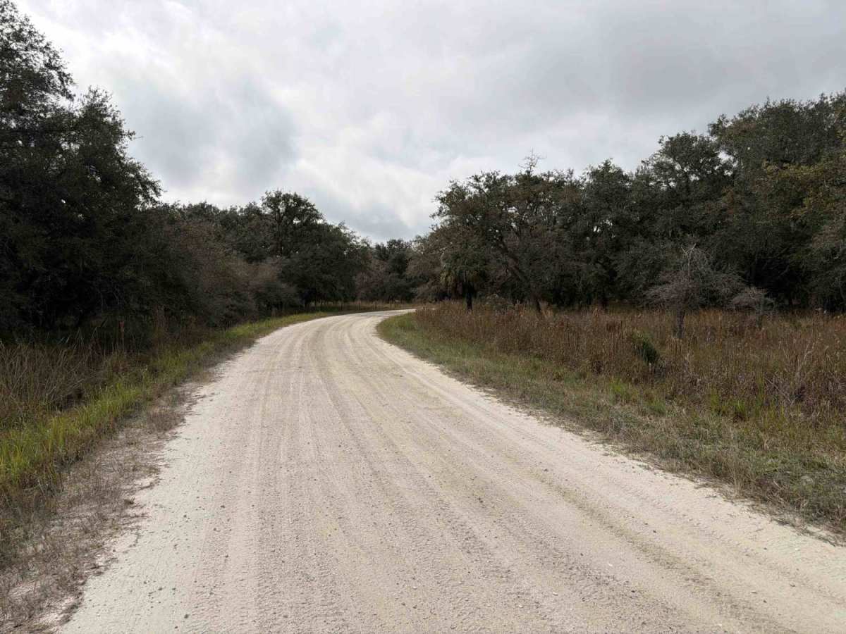 Sailor Hammock Road - Three Lakes WMA trail photo