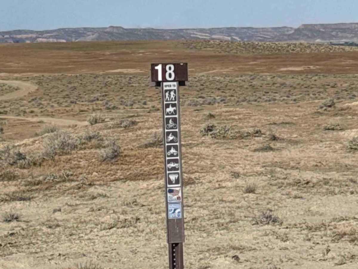 BLM 181 photo 3