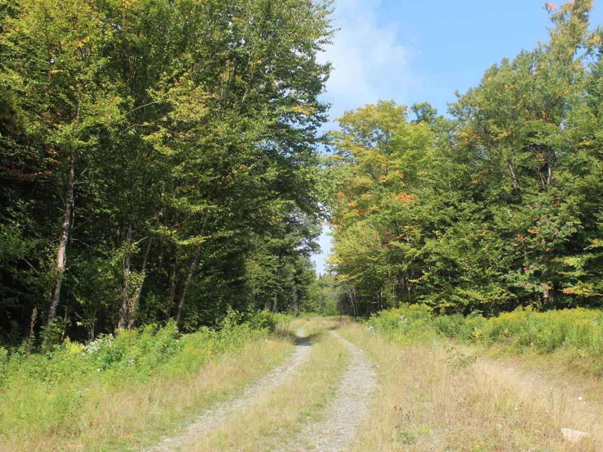 Roaring Brook Trail trail photo