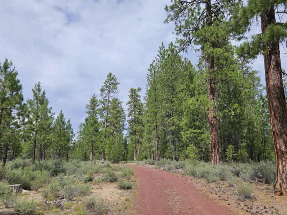 FS 7649040  trail photo