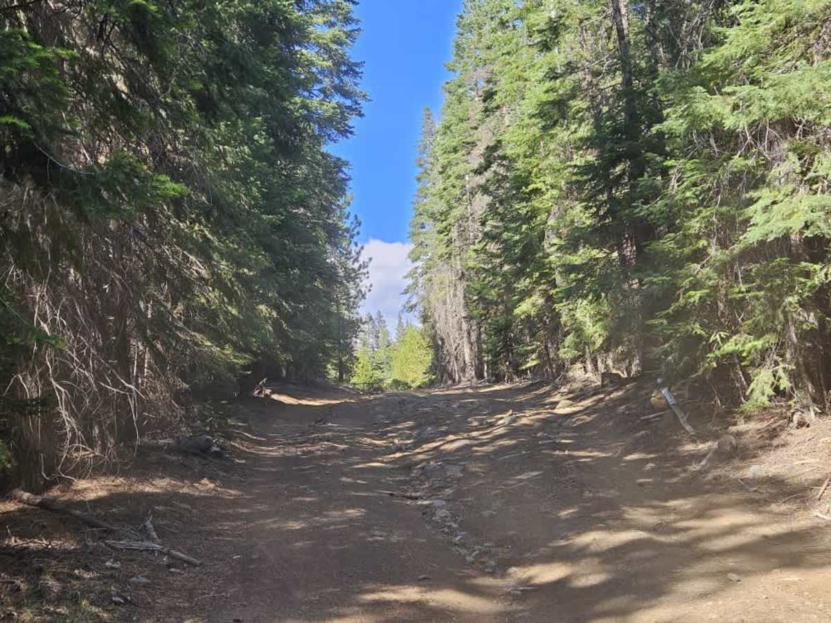 FS 4180500 trail photo