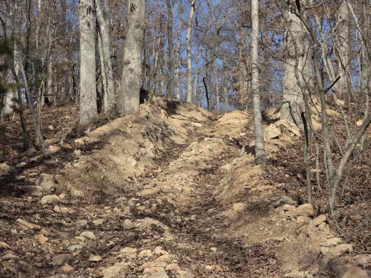 Pointed Rock  photo 3