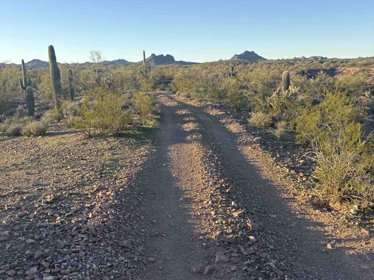 9066 trail photo
