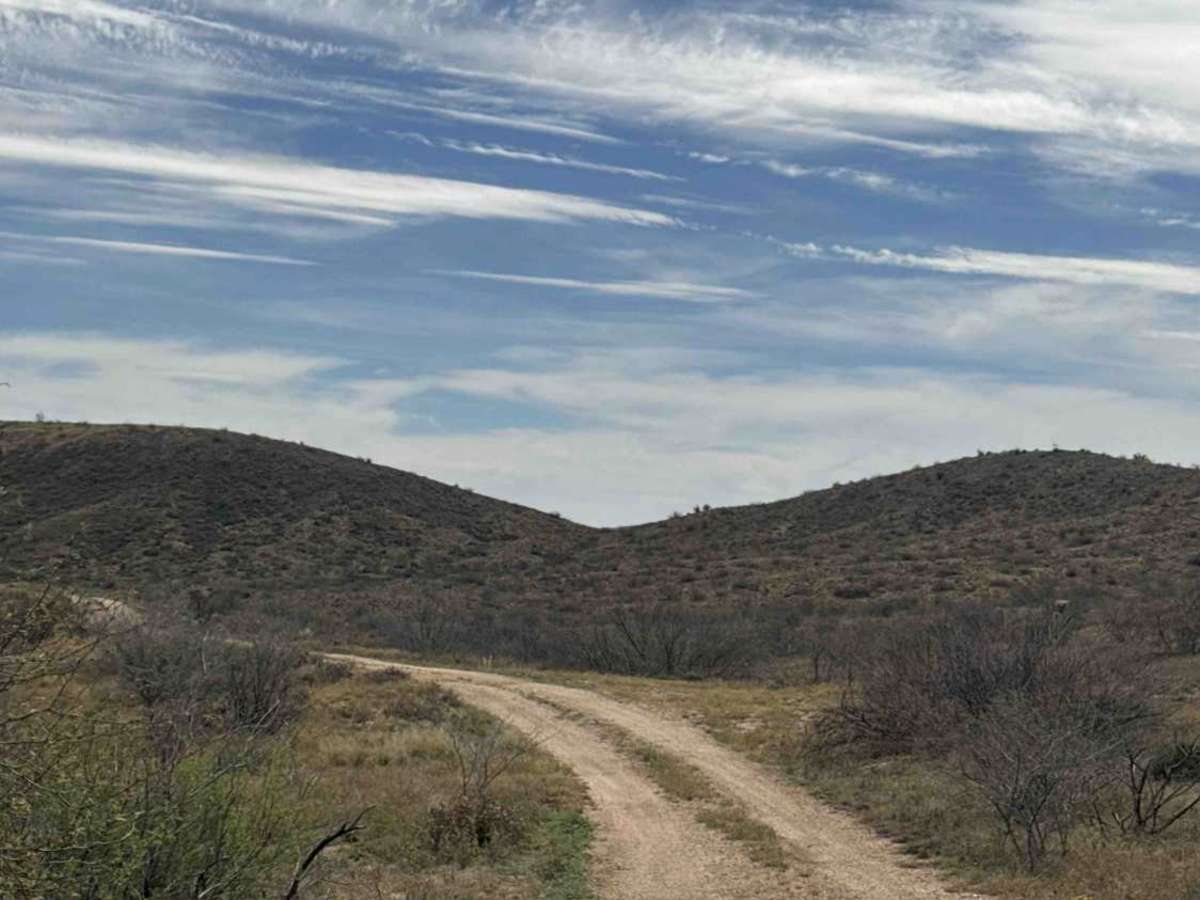 FS U2163 trail photo