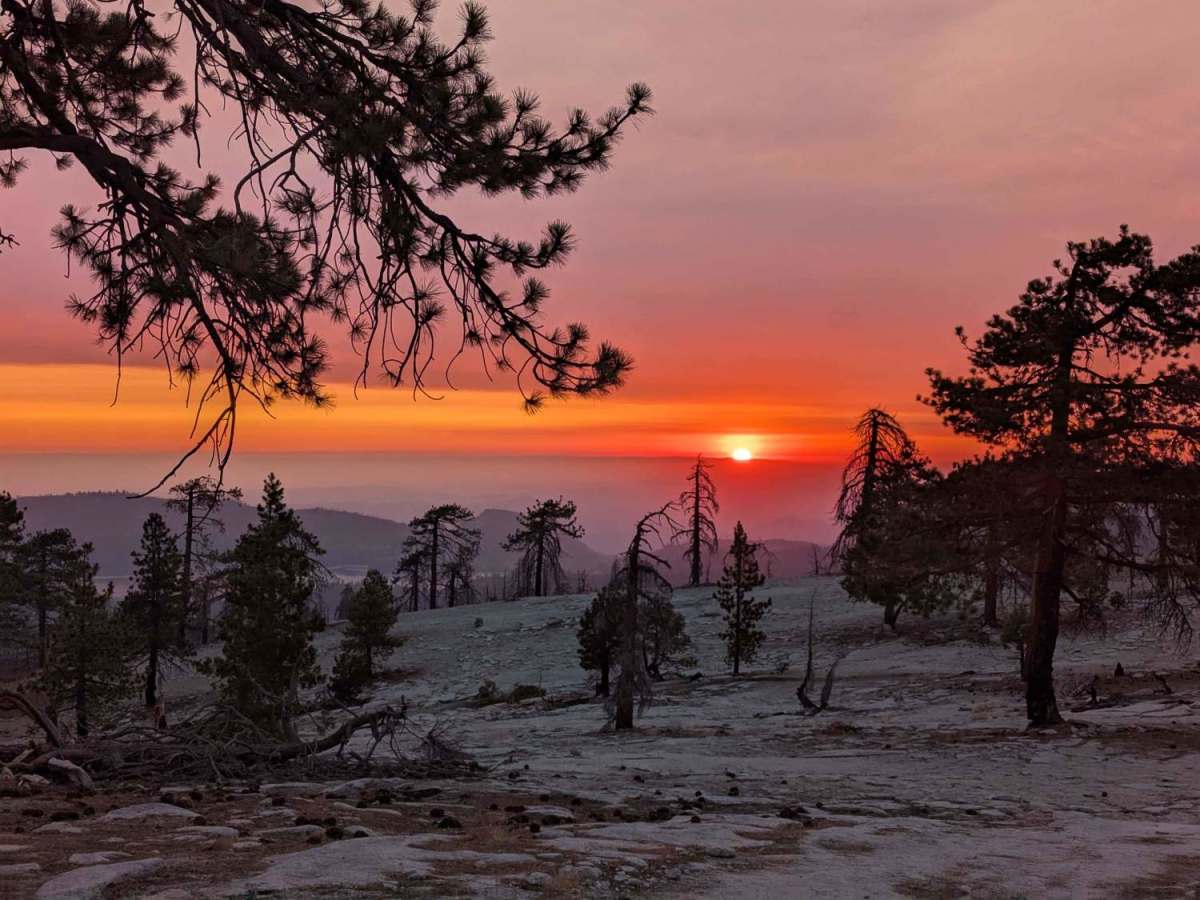 Top O Hill - FS 25E308 trail photo