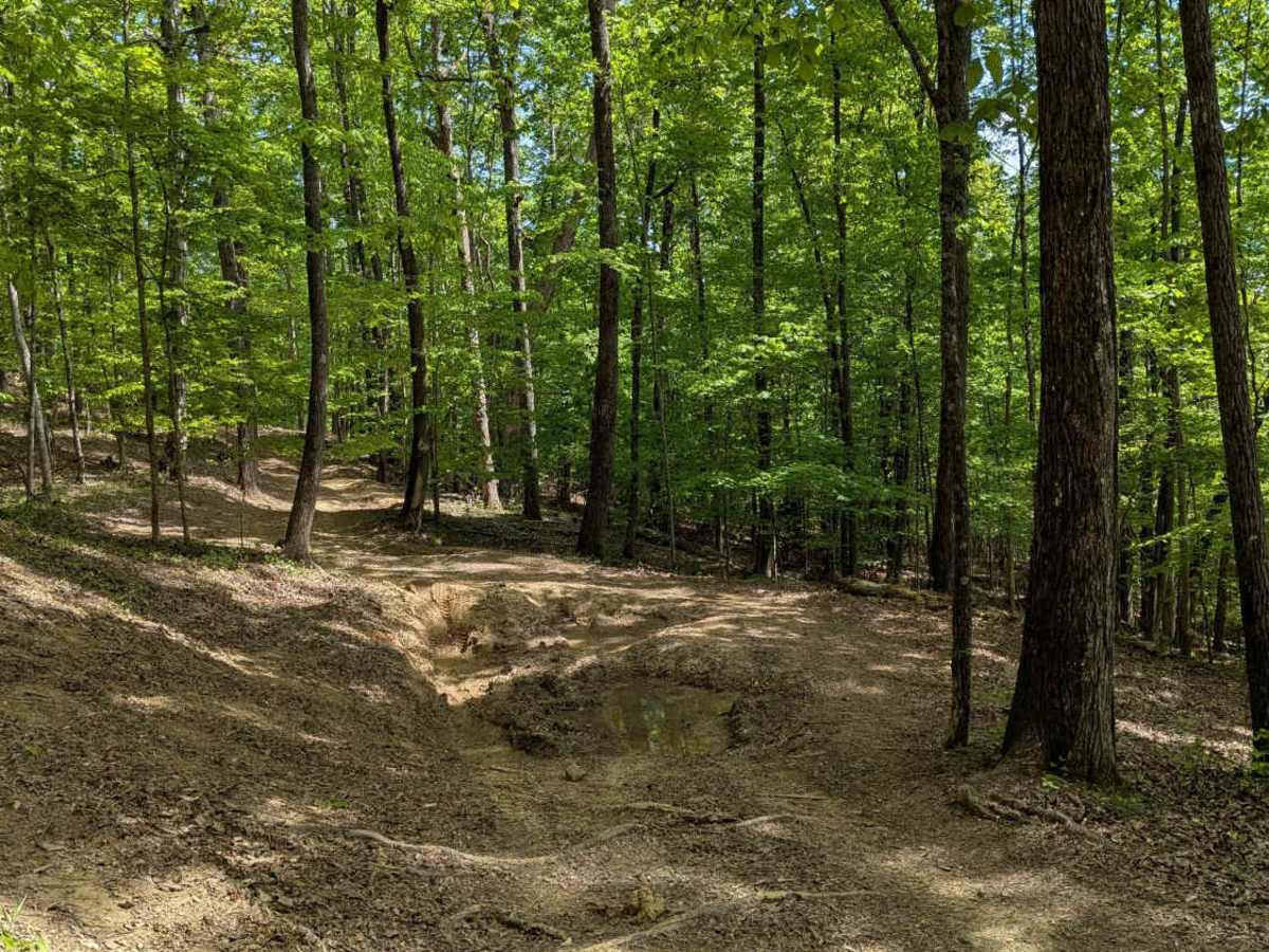 Trail 12 photo 4
