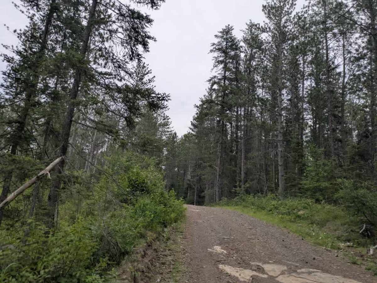 Tomahawk Spur E photo 6