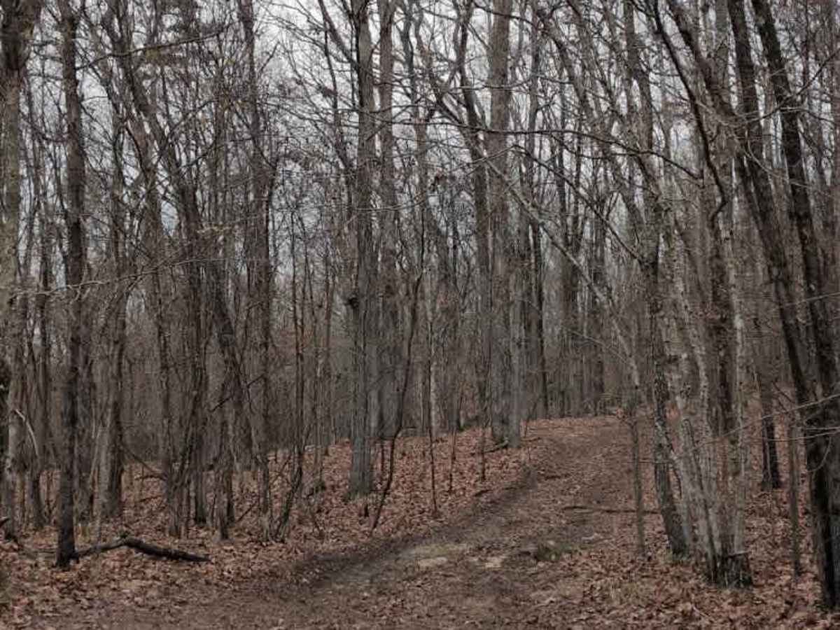 #114 Hardline Trail trail photo