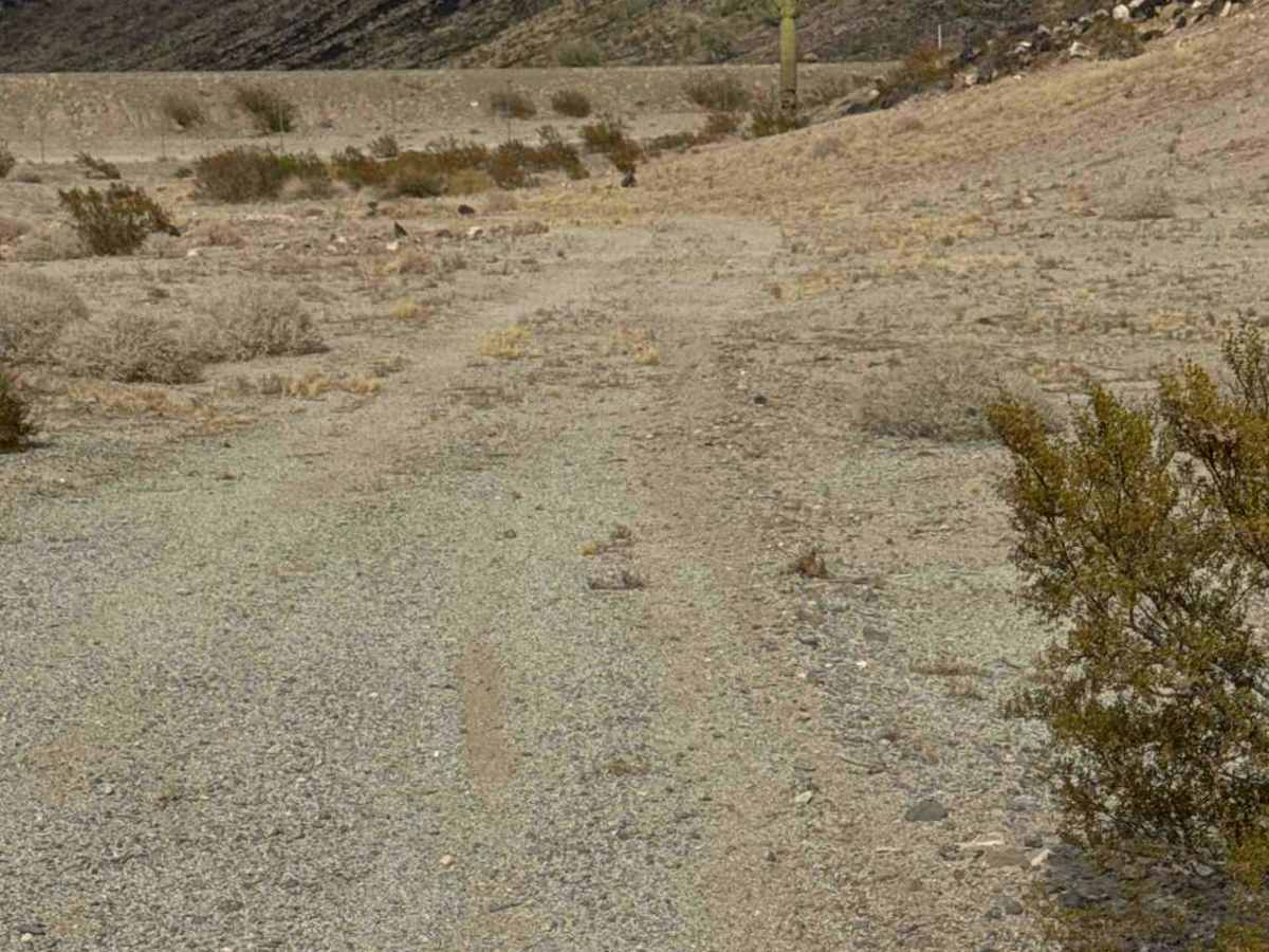 Comfort Zone Trail photo 2