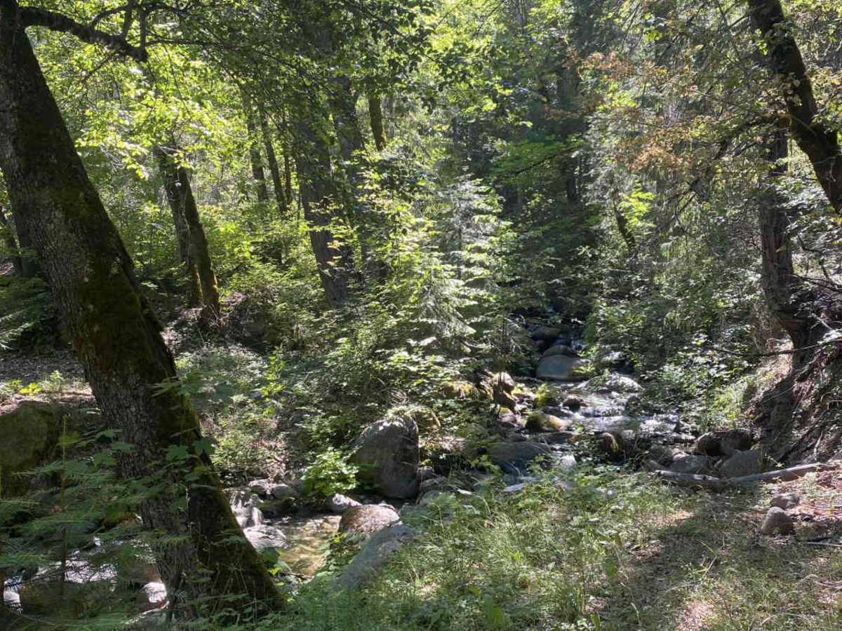 North Fork Swift Creek - FS 37N55 photo 4