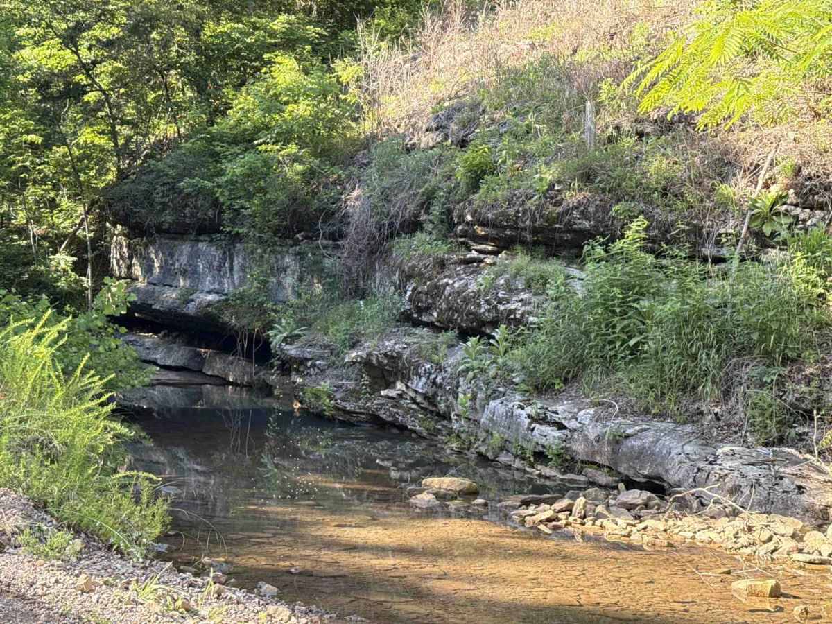 Cove Creek Road photo 4