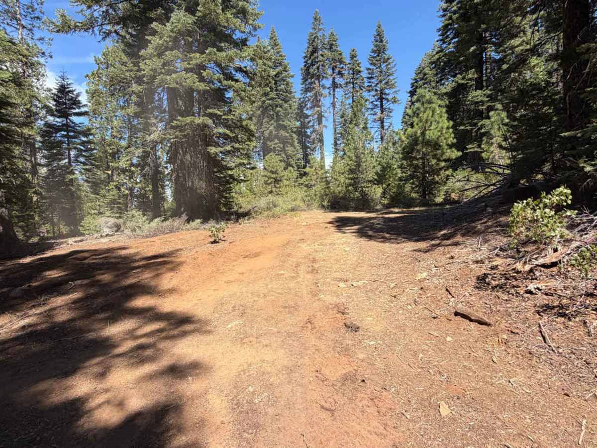 Diamond Creek - FS 20-016 trail photo