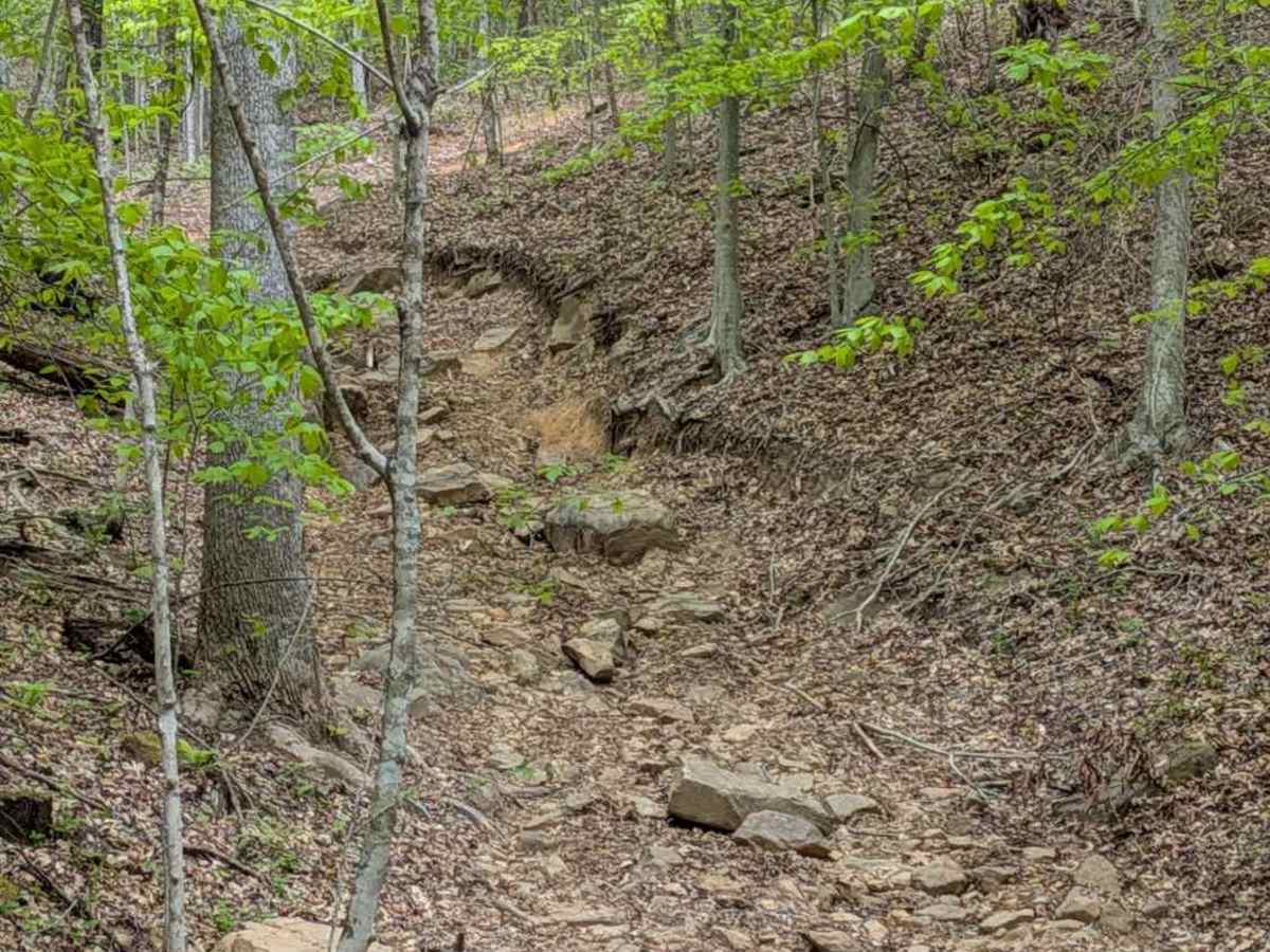 JW1 trail photo