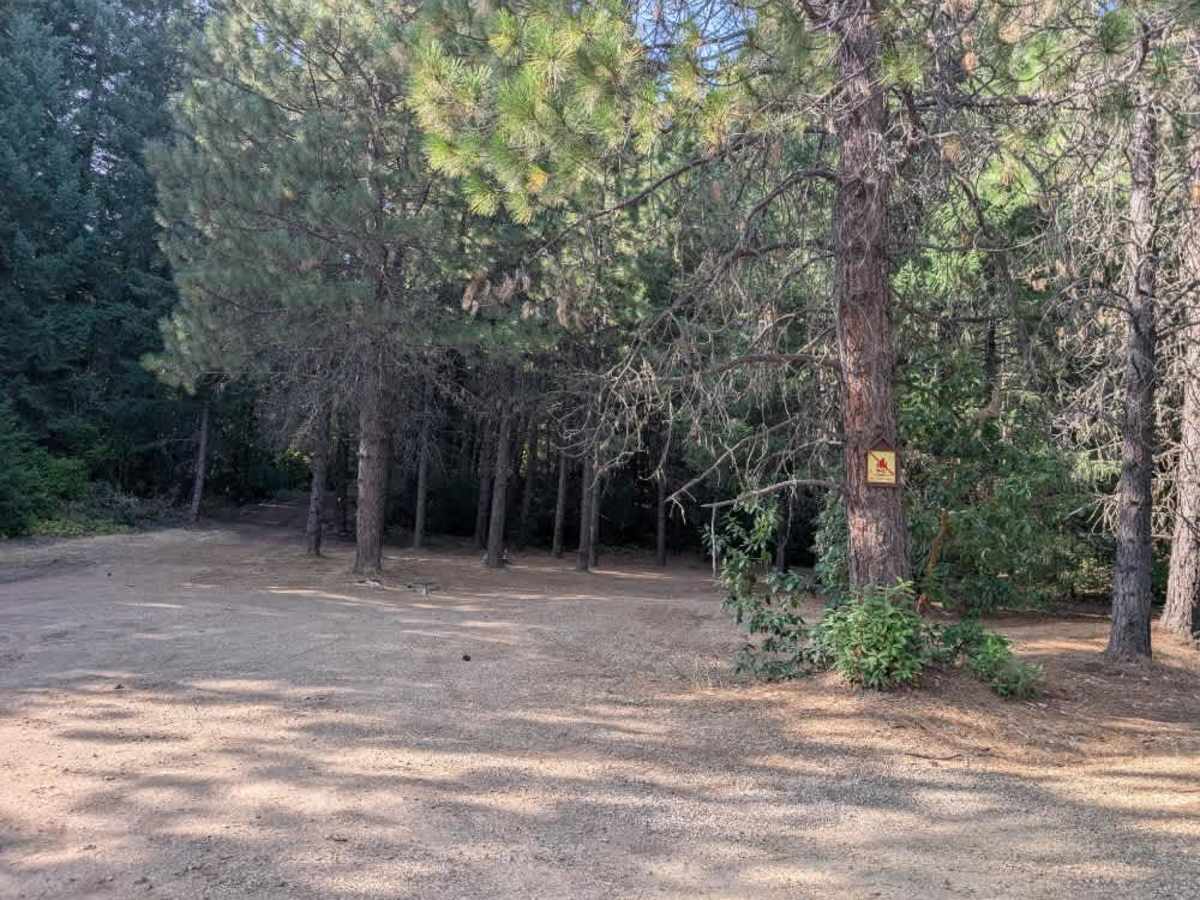 64 trail photo