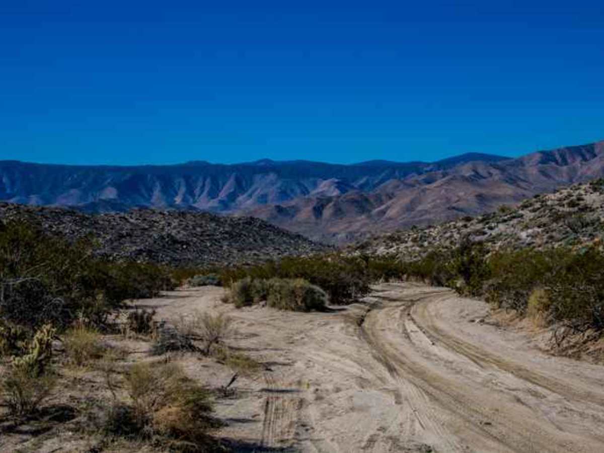 North Pinyon Mountain Road photo 2