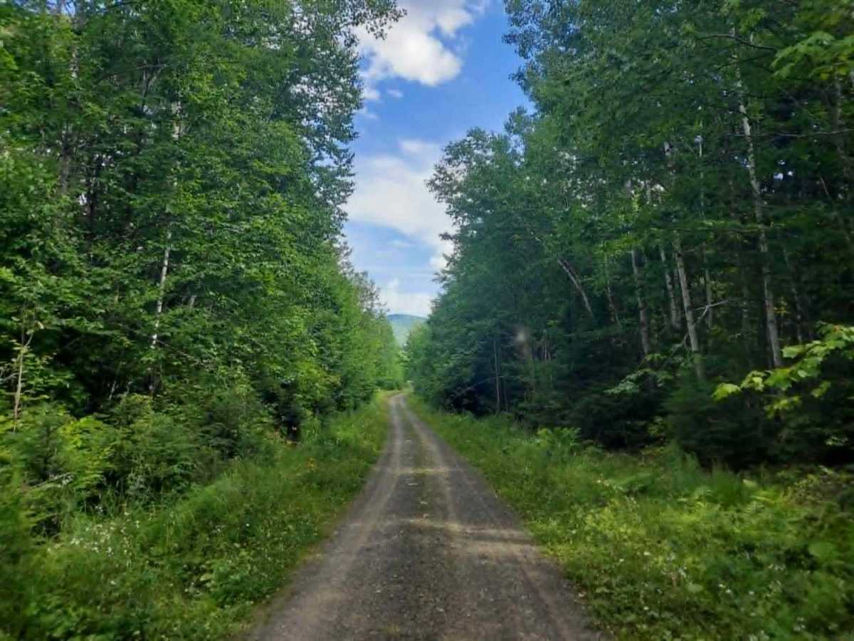 Presque Isle Stream Traverse photo 2