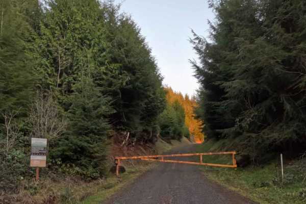 Simmons Ridge Road