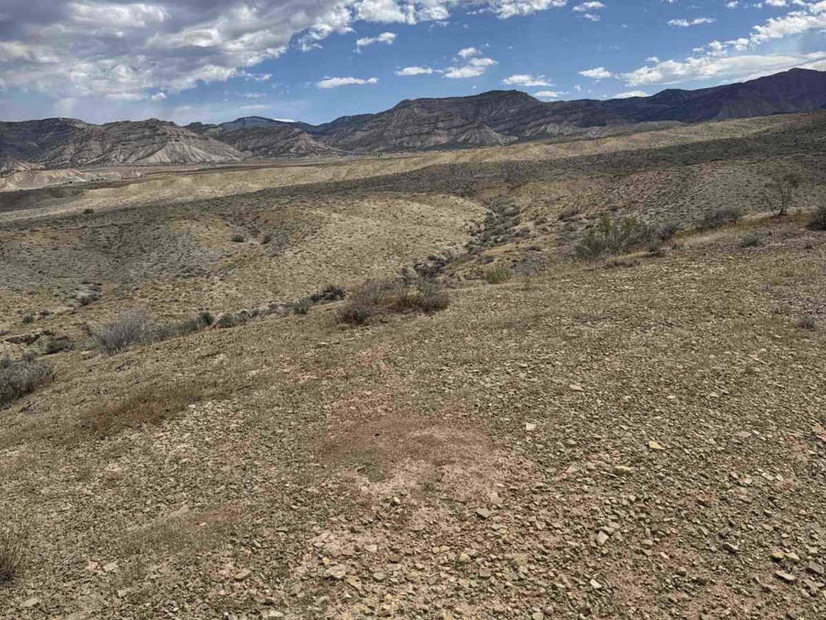 BLM 210 photo 6