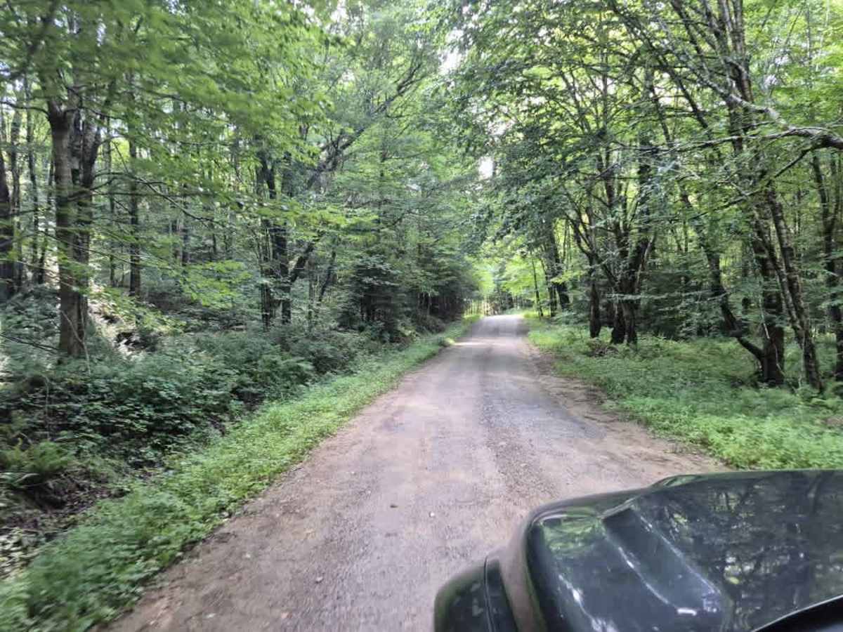 Otter Brook Trail photo 4