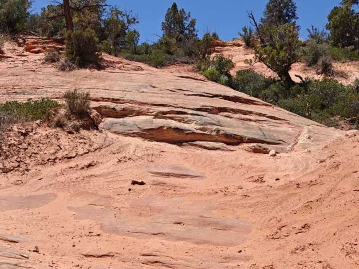 Diana's Throne - BLM 106V photo 3