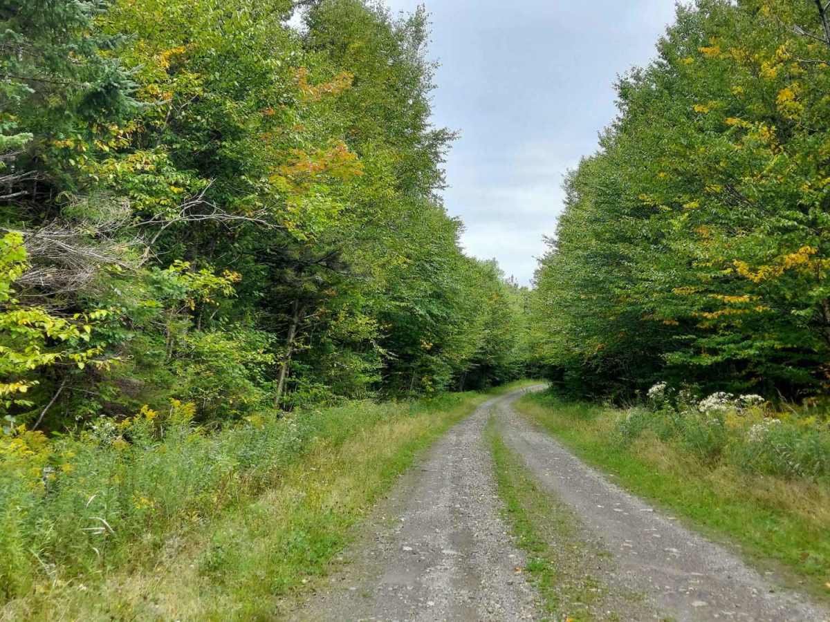East Branch Road photo 6