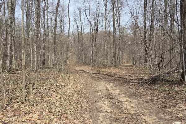 Natural Dam Trail