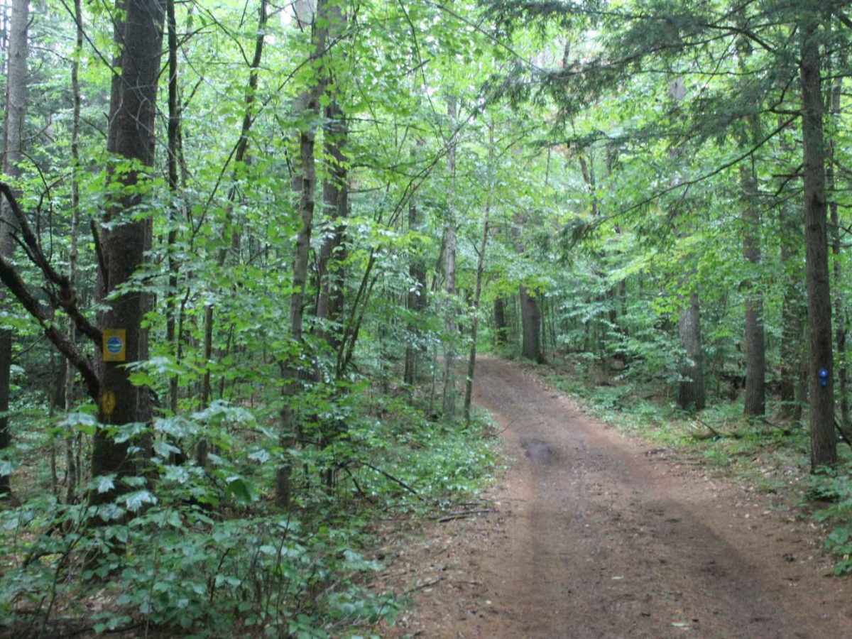 Catspaw Lake Road photo 6