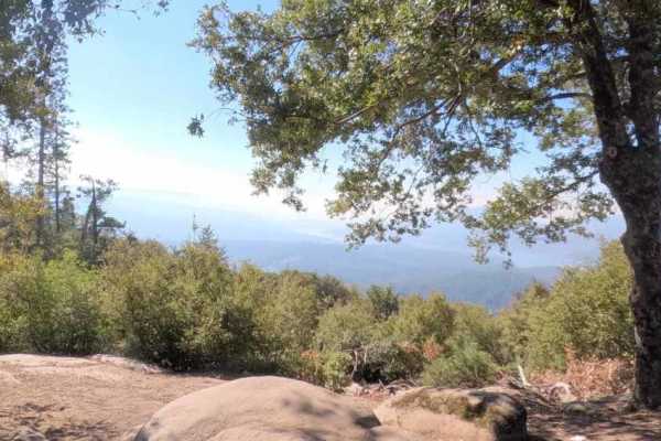 Vista Dome - FS 6S088