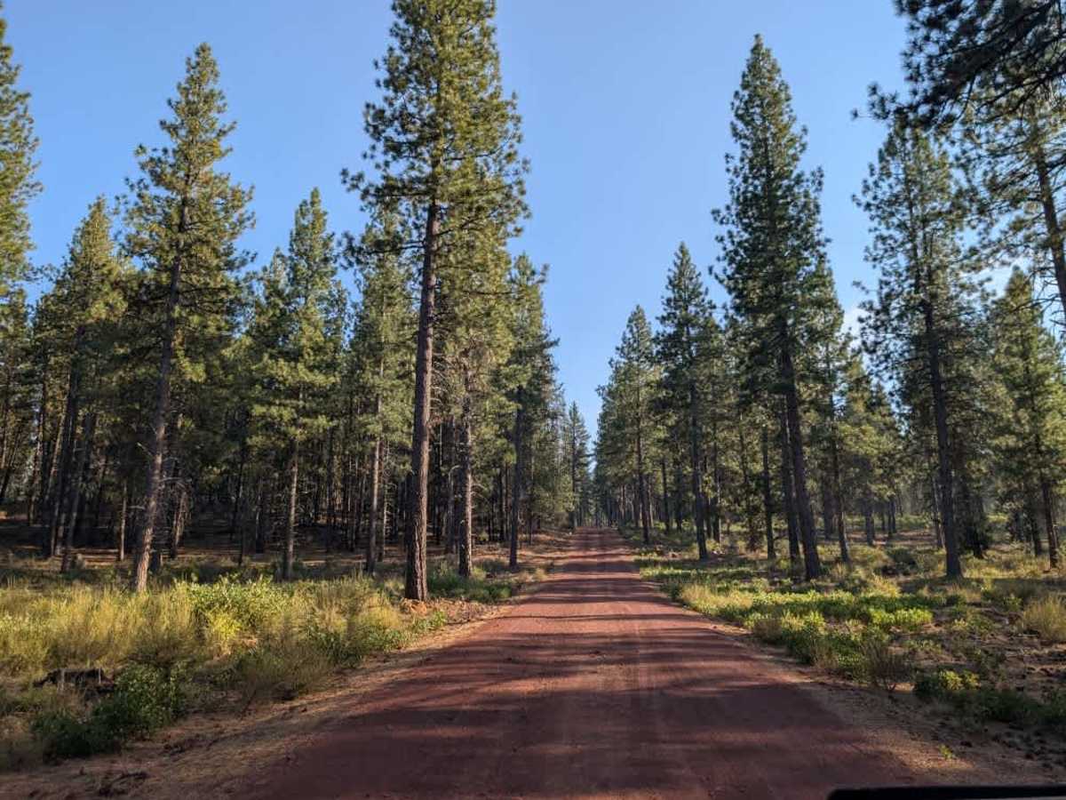 FS 4601300 trail photo