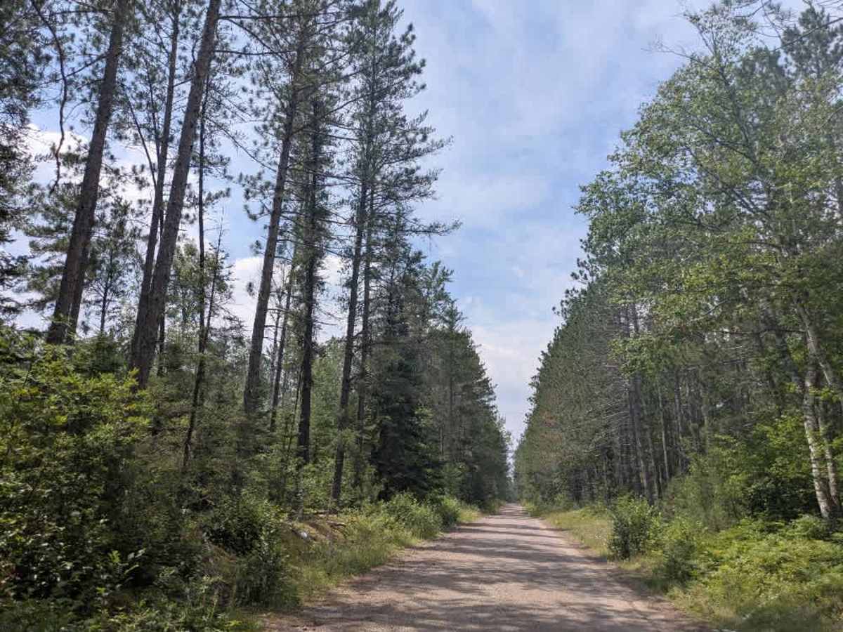 FS 1472 trail photo