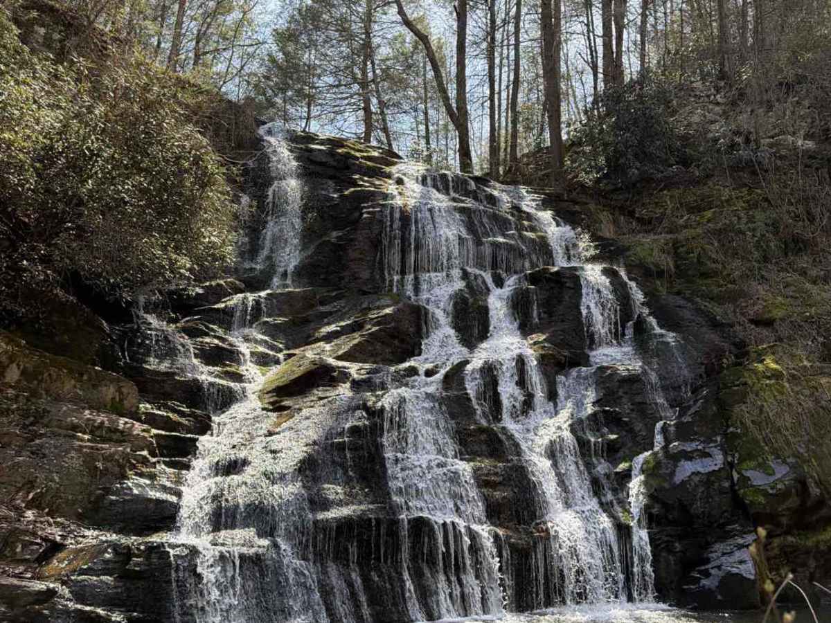 Brasstown Falls - FS 751 photo 4