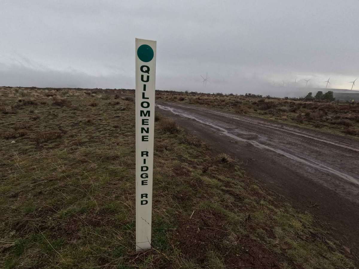 Quilomene Ridge Road trail photo