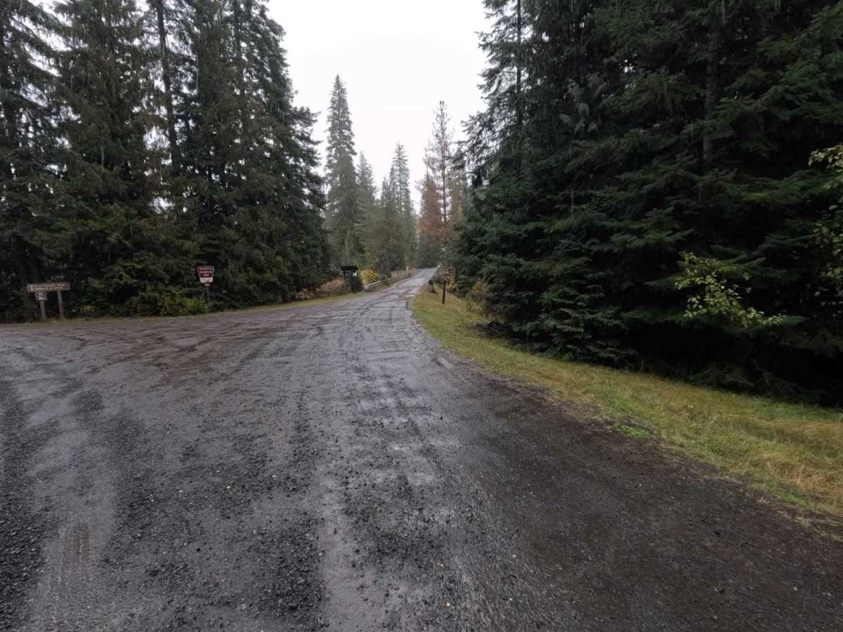 Moose Creek - FS 381  photo 2