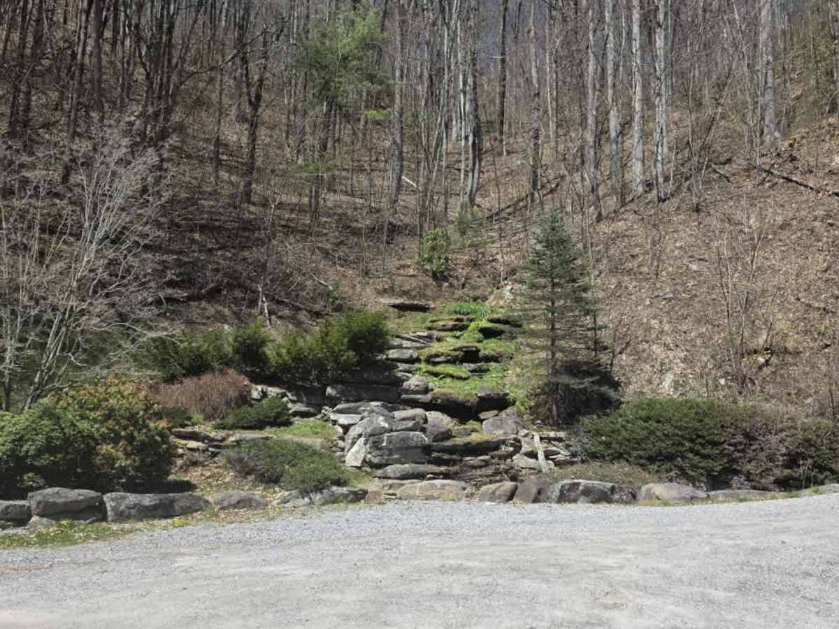 Cove Creek Road photo 4