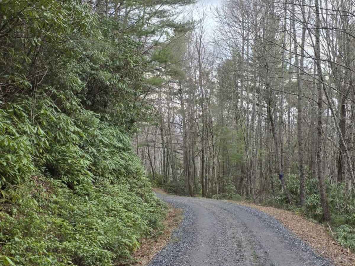 Flat Top Road photo 4