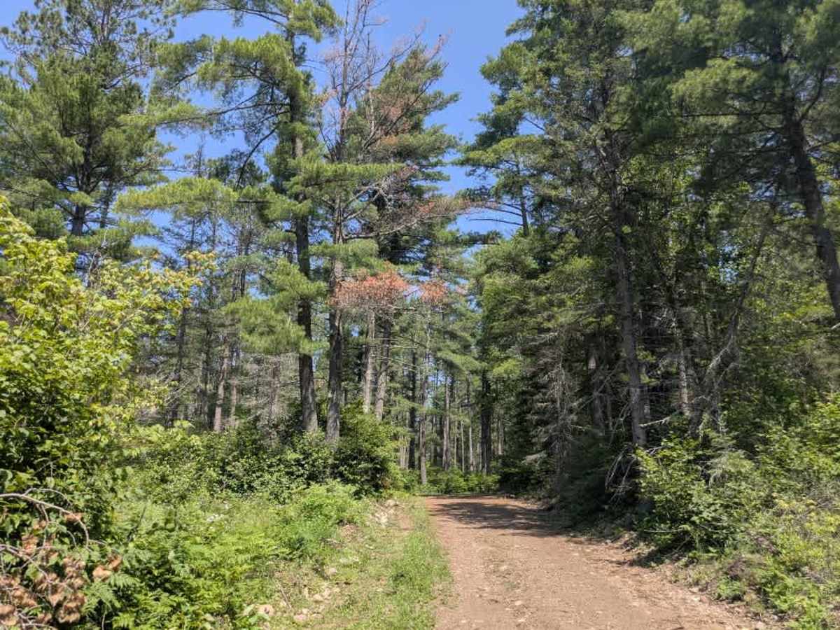 Trail 177E photo 2