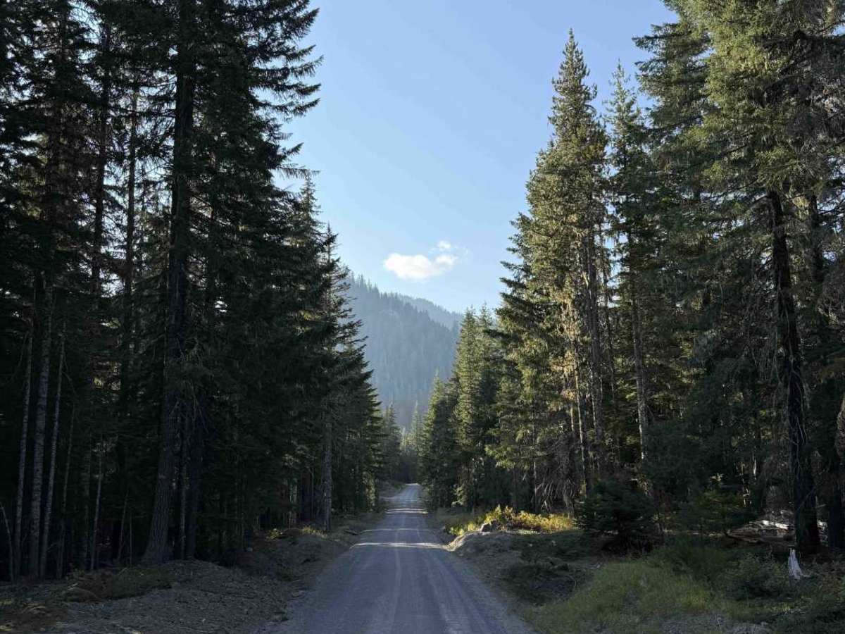Merrill Lake Road - FS 81 photo 3