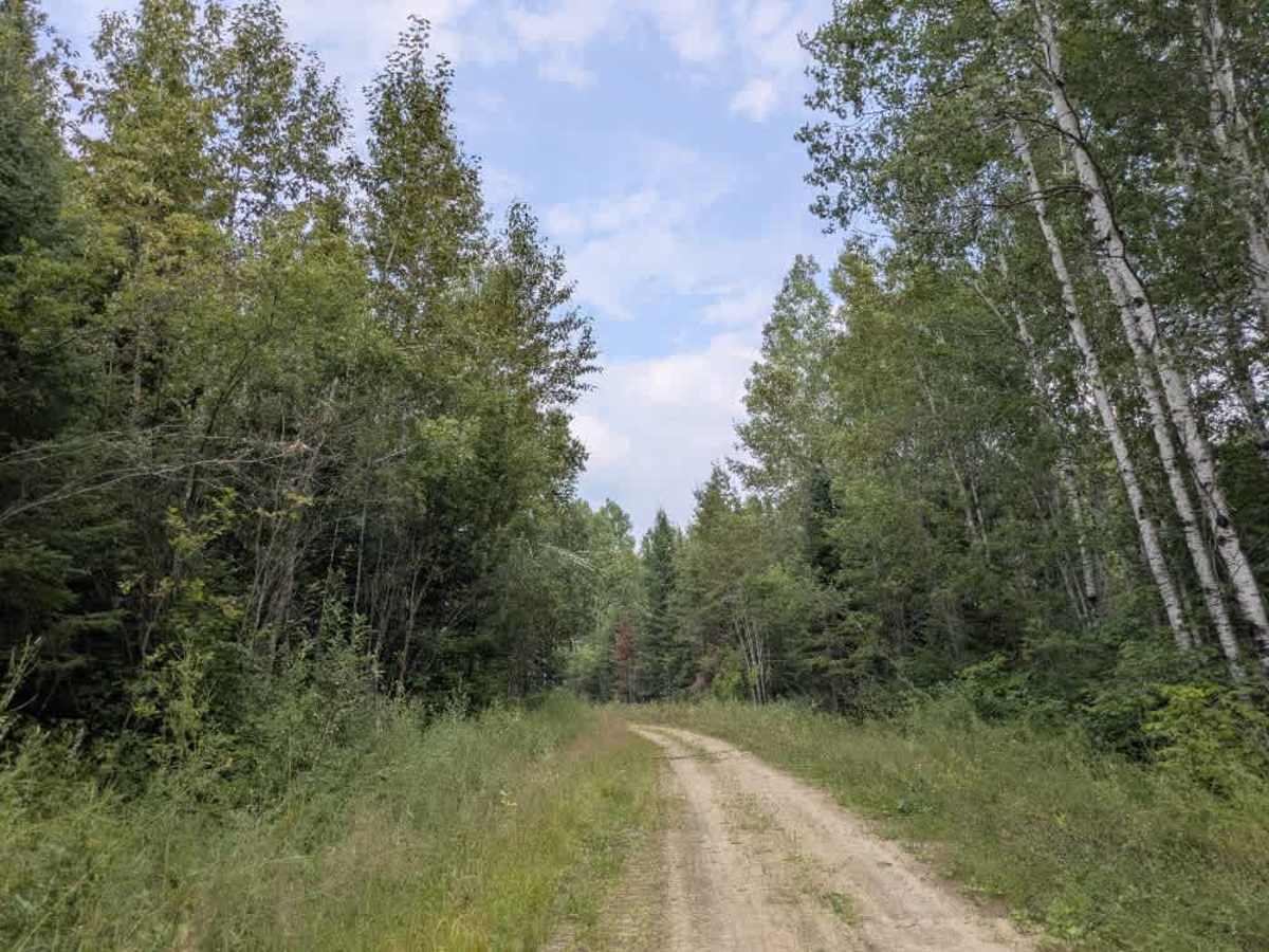 Indian Hill photo 3