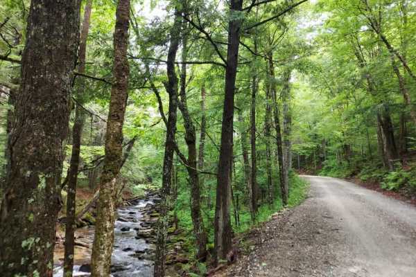 Bridgewater Hollow Road