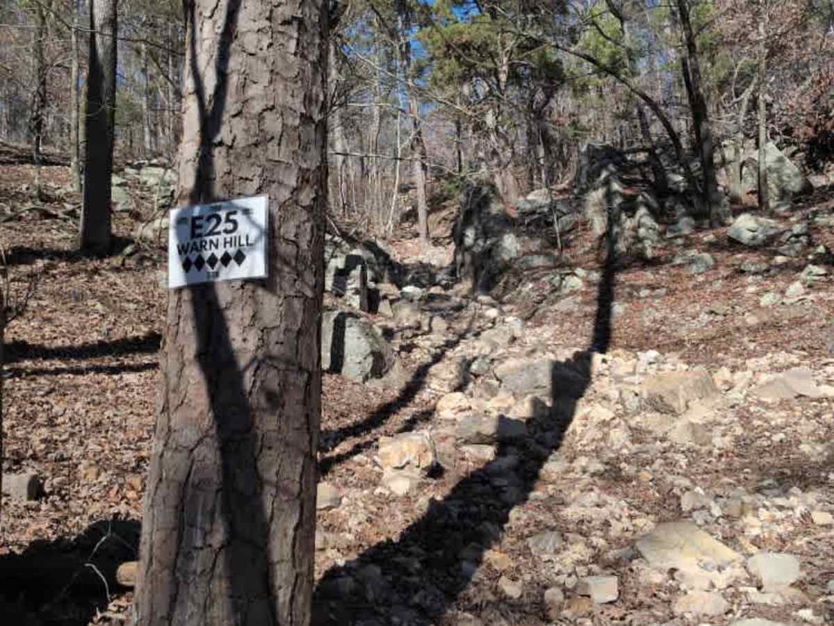 E25 Warn Hill photo 2