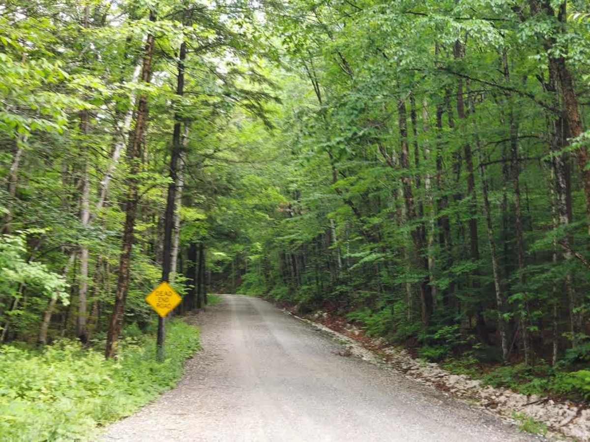 Bridgewater Hollow Road photo 6