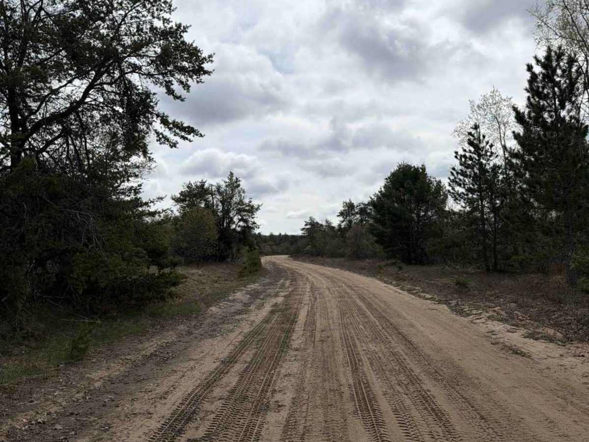 Tank trail photo 5