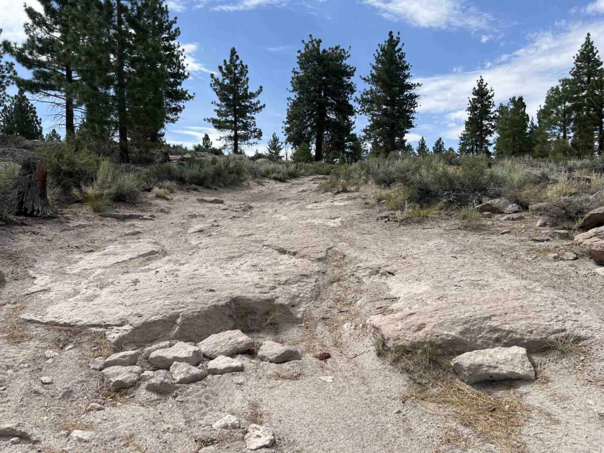 FS 4S116 trail photo