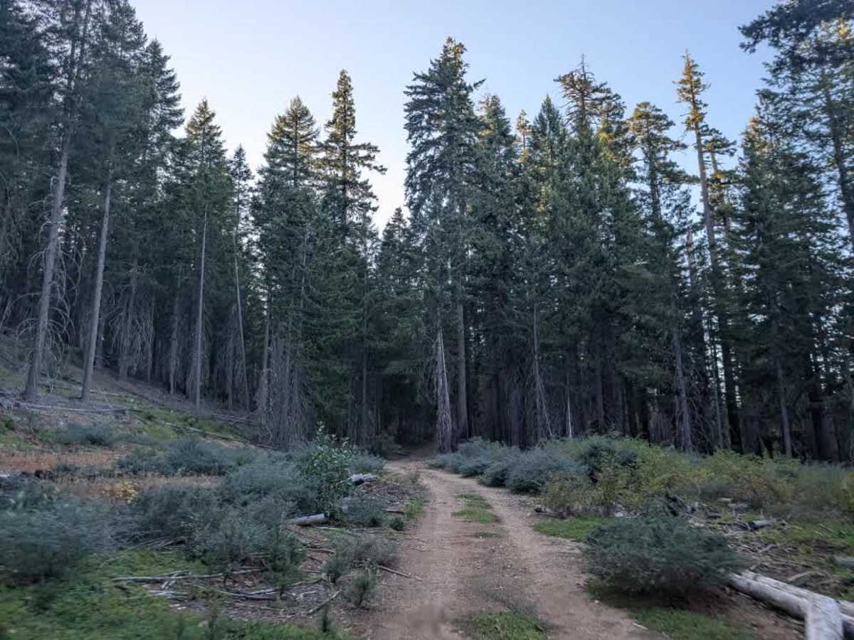 Sixteen trail photo