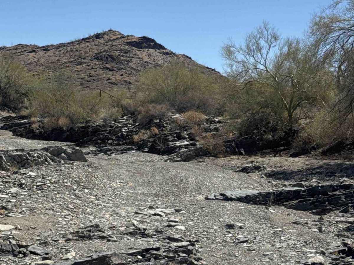 Waterfall Wash  photo 5