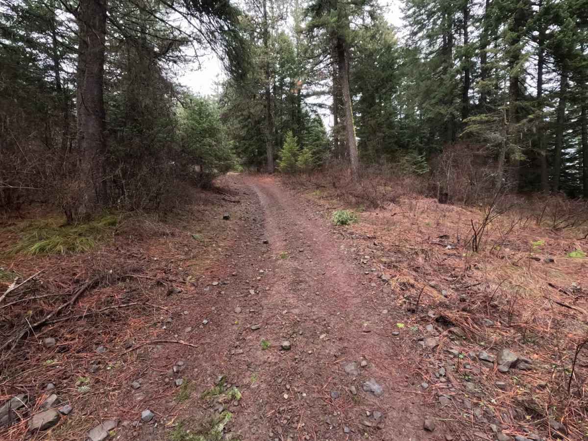 Potato Hill Connector photo 3